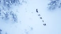 Aerial view of dogsledding in the arctic winter of Finnish Lapland.