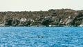 Aerial view dolphins flying in sea in background of mountains