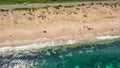 Aerial view of The Driving Beach near resort of Dyuni, Bulgaria Royalty Free Stock Photo