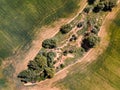 Aerial view from drone of cultivated fields and trees on a plot of land Royalty Free Stock Photo