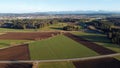 Aerial view with drone of different colored fields, road and alps in spring in Bavaria