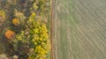 Road between field and forest at autumn.