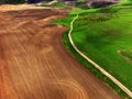 Aerial View from a Drone of a Farm Field of Crops Green Grown with Furrows Plowed