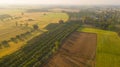 The field soil reclamation in preparation for seeding or planting Royalty Free Stock Photo