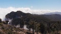 Aerial view - drone flies over pine trees in the mountains above the clouds, Pico de las Nieves, Gran Canaria Royalty Free Stock Photo