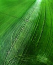 Aerial View from a Drone Flying above Green Farm Field Growing Crops Irrigation Pivot Sprinklers Royalty Free Stock Photo