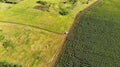 Aerial. View from drone of moving little white car on a rural, country road.