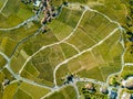 Aerial view with drone over vineyards in golden autumn color, Region Lavaux Royalty Free Stock Photo