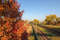 Aerial view from drone on railway road between trees Landscape background with steel rails Old forgotten rail track between Royalty Free Stock Photo