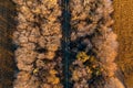 Aerial view from drone top view. Aerial view amazing over railway with colorful autumn trees and fields along. Beautiful fall Royalty Free Stock Photo