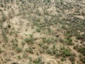 Aerial view of the dry sahel in Africa near the border of Ethiopia and Somalia