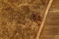 Aerial view of dusty dirt road through grassy plain landscape