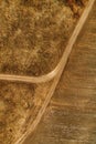 Aerial view of dusty dirt road through grassy plain landscape