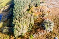 Aerial view of a dying forest in Ireland