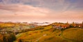 Aerial view from Eckberg at Autumn grape hills and foggy Alps in distance