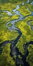 Aerial View Of Eco-friendly Swamp And River: Environmental Awareness Artwork Royalty Free Stock Photo