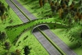 Aerial view of ecoduct or wildlife crossing 3D