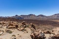 El Teide National Park, Tenerife, Canary Islands, Spain