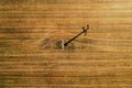 Aerial view of electricity pylon in harvested wheat field