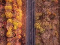 Aerial view on empty automobile road in autumn colorful lush forest.