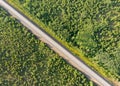 Aerial view of empty rural road without a car between forests on a sunny day Royalty Free Stock Photo