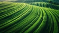 Aerial view of endless lush pastures and farmlands . Beautiful countryside with emerald green fields and meadows. Rural Royalty Free Stock Photo