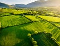 Aerial view of endless lush pastures and farmlands of Ireland. Beautiful Irish countryside with green fields and meadows. Rural