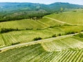 Aerial view of endless rows of grapevines around Orvieto town. Vineyards, plantations of grape-bearing vines grown mainly for