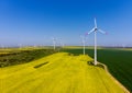 Aerial view of eolian turbines. Rapeseed field in bloom. Renewable energy