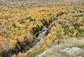 Fall Colors in the Michigan State Park Royalty Free Stock Photo