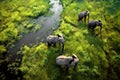 Aerial view of a family of elephants walking in the green meadow. Amazing African wildlife. Generative Ai