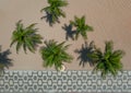 Aerial view of a famous Copacabana sidewalk mosaic with palm trees on the beach Royalty Free Stock Photo