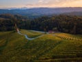 Aerial view of the famous heart shaped wine road in Slovenia from Spicnik near Maribor. Amazing autumn landscape Royalty Free Stock Photo