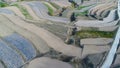 Aerial view of farm field hills, terraced valley with massive agricutlure