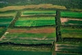 Aerial view of farm fields valley in the Kamchatka in Russia.