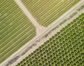 Aerial view of farm lands, vineyards in rural California Royalty Free Stock Photo
