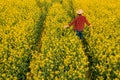 Aerial view of farmer examining blooming rapeseed field Royalty Free Stock Photo