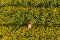 Aerial view of farmer using drone remote controller in blooming rapeseed field