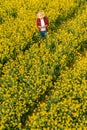 Aerial view of farmer using drone remote controller in blooming rapeseed field