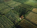 Aerial view, farmers take water for their rice fields with a view of the rice field pattern