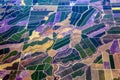 Aerial view of farming lands in California