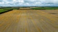 Aerial view of farmland fields of green and gold and some sheep grazing Royalty Free Stock Photo