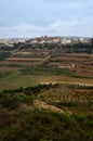 Aerial view of farmland in Malta
