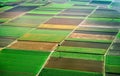 Aerial view of farmlands.