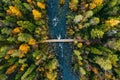 Aerial view of fast river flow through the rocks and colorful forest. Autumn in Finland Royalty Free Stock Photo