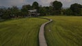 Aerial view feild farm nature rice landscape in Thailand