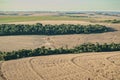 Aerial view of a field cultivated with soybeans among forest remnants in the western region of the state of ParanÃÂ¡, southern