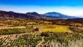 Aerial view of a field with fruit trees and farmland with mountains in the background