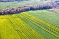 Field sown with yellow rape. View from above Royalty Free Stock Photo