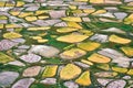 An aerial view of fields during harvesting time, Zanskar Valley, Ladakh, Jammu and Kashmir, India. Royalty Free Stock Photo